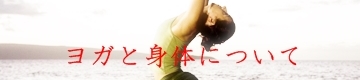 ヨガと身体について